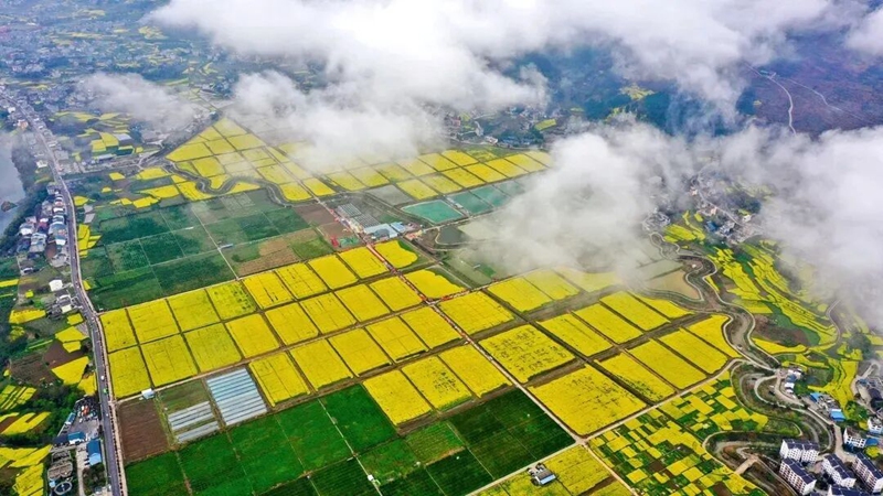 銅仁美麗鄉(xiāng)村。