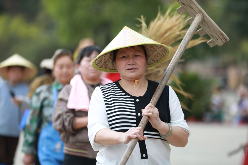 5 農村T臺秀節目現場
