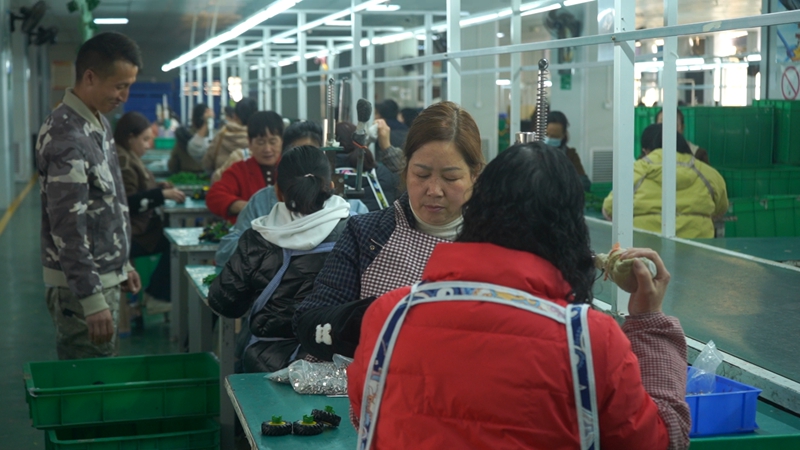 員工們帶著新春的喜悅和飽滿的熱情,全身心投入到生產(chǎn)一線。裴忠鈺 攝.jpg