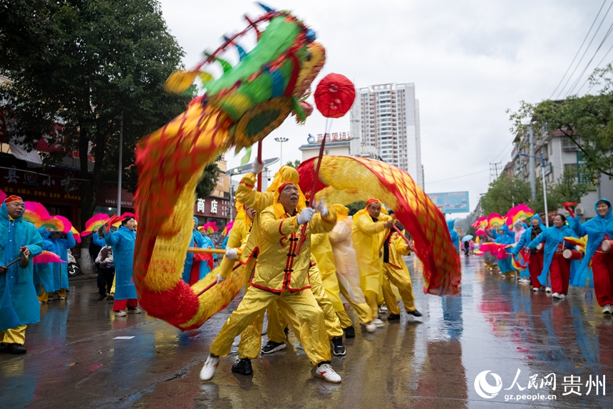 石阡縣仡佬毛龍節毛龍巡游現場。人民網記者 涂敏攝