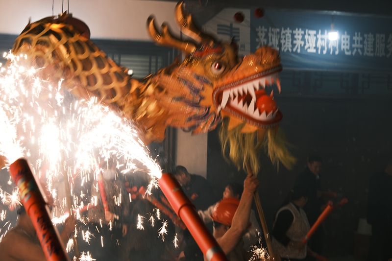 龍和煙花。 伍會芳 攝.JPG