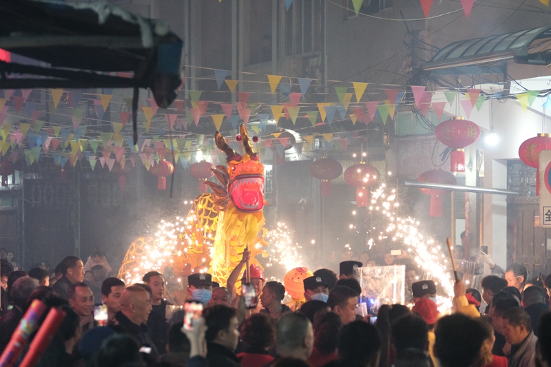 舞龍。 伍會芳 攝.JPG