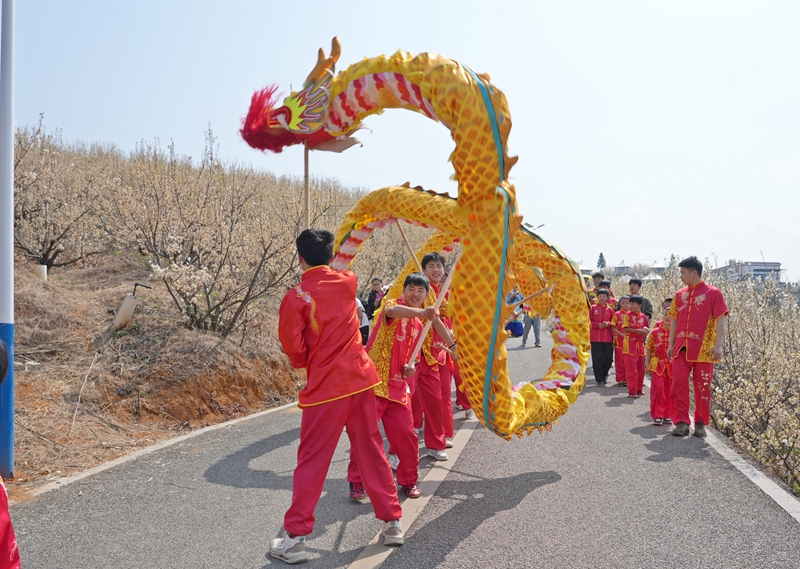 貴州省畢節(jié)市納雍縣厙東關鄉(xiāng)萬畝櫻桃花觀光步道上，櫻桃花節(jié)系列活動“迎春神”民族巡游儀式現(xiàn)場。 楊英    攝.jpg