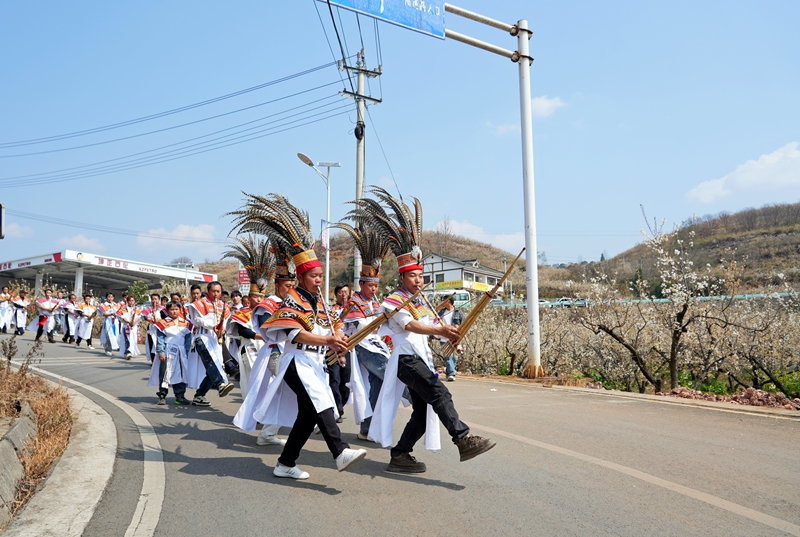 貴州省畢節(jié)市納雍縣厙東關鄉(xiāng)萬畝櫻桃花觀光步道上，櫻桃花節(jié)系列活動“迎春神”民族巡游儀式現(xiàn)場。 楊 英    攝.jpg