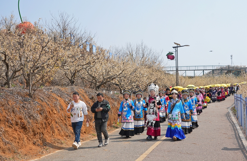 櫻桃花節(jié)系列活動“迎春神”民族巡游儀式現(xiàn)場。 楊  英 攝.jpg