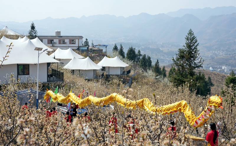 貴州省畢節(jié)市納雍縣厙東關鄉(xiāng)萬畝櫻桃花觀光步道上，櫻桃花節(jié)系列活動“迎春神”民族巡游儀式現(xiàn)場。  楊 英 攝.jpg