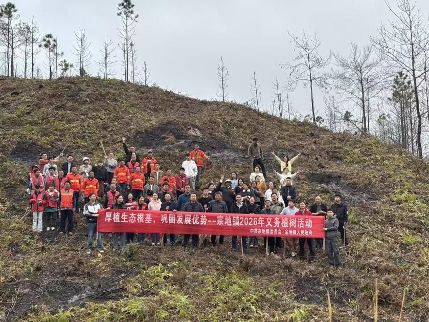 義務(wù)植樹活動(dòng).