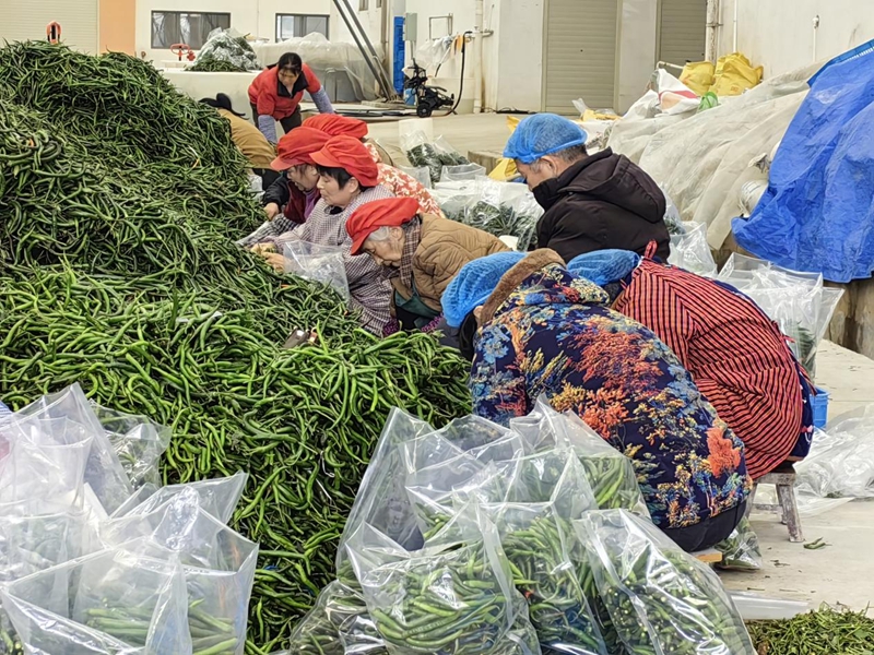 貴州銅仁:企業(yè)復工復產(chǎn) 全力沖刺一季度“開門紅”。