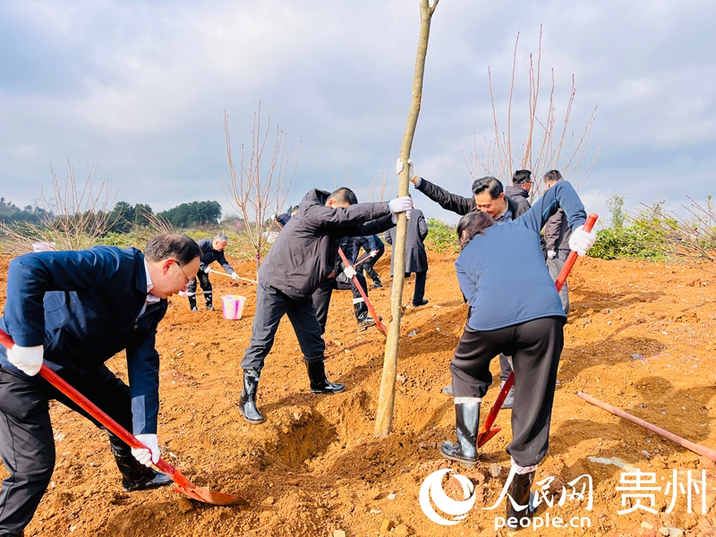 干部群眾植樹現場。人民網記者 陳潔泉攝