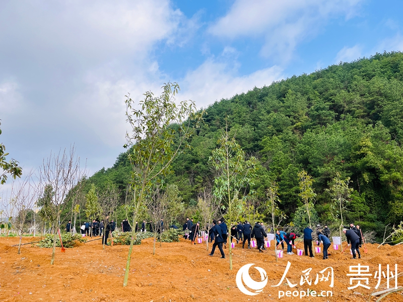 干部群眾植新綠。人民網記者 陳潔泉攝