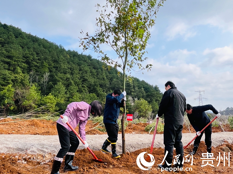 干部群眾植新綠。人民網記者 陳潔泉攝