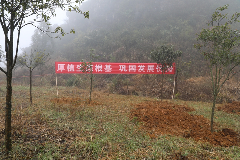 開陽縣2026年“厚植生態根基 鞏固發展優勢”義務植樹活動在開陽經開區三塊石廣場舉行。