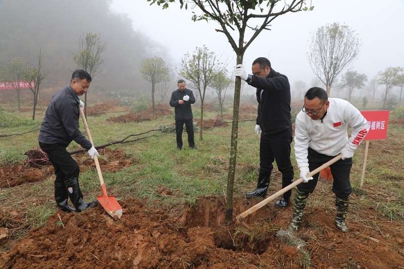 開陽縣四班子領導開展義務植樹。 