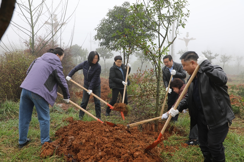開陽縣四班子領導開展義務植樹。 