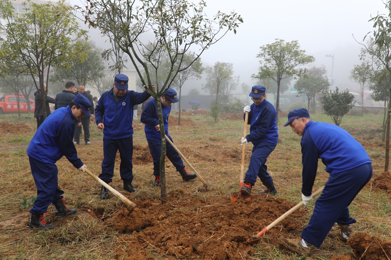 干部職工、青年志愿者、消防指戰員、民兵等開展義務植樹。