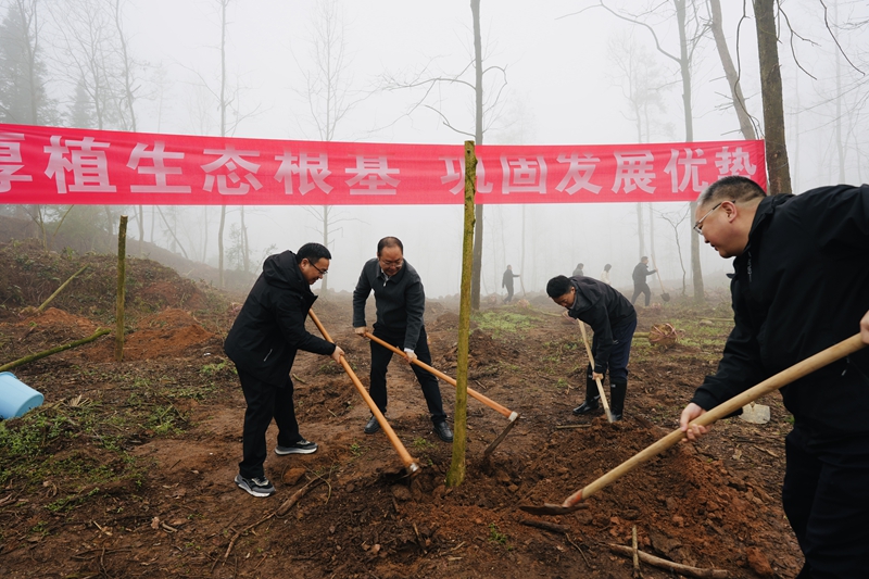 息烽縣2026年義務(wù)植樹現(xiàn)場 大家干勁十足。