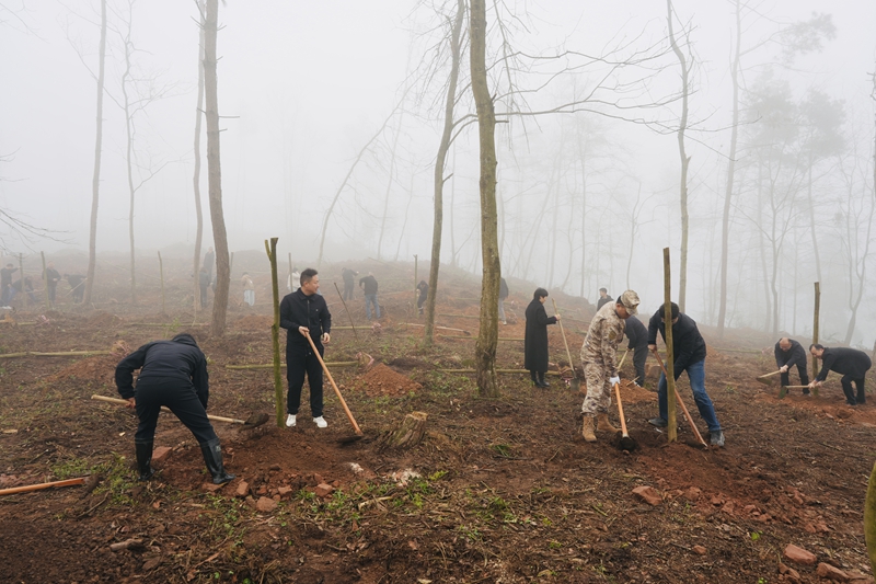 息烽縣2026年義務(wù)植樹現(xiàn)場 大家干勁十足。