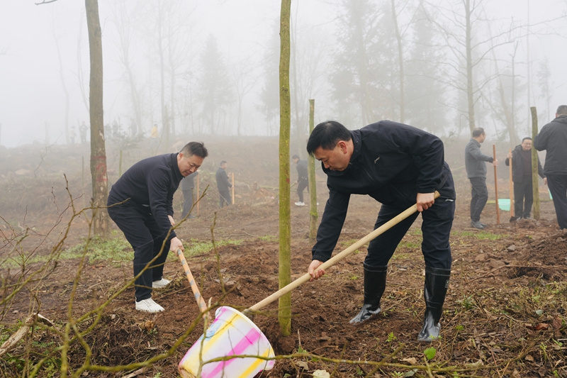 息烽縣2026年義務(wù)植樹現(xiàn)場 大家干勁十足。