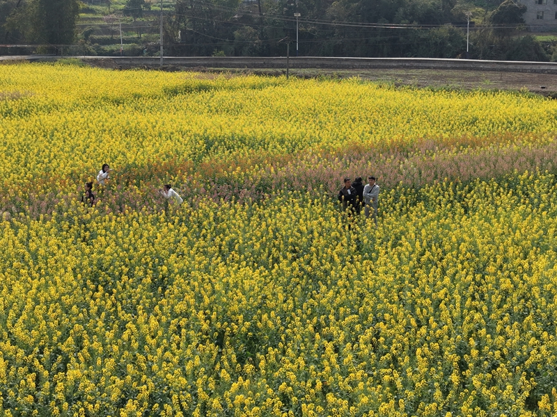 2、游客們?cè)诨ㄌ镏信恼沾蚩ā?JPG
