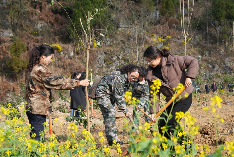 2026年2月28日,貴州省畢節(jié)市納雍縣百興鎮(zhèn)丫口社區(qū)縣級(jí)義務(wù)植樹現(xiàn)場(chǎng)。 楊 英 攝.jpg
