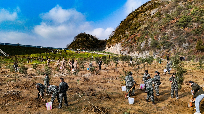 2026年2月28日,貴州省畢節(jié)市納雍縣百興鎮(zhèn)丫口社區(qū)縣級(jí)義務(wù)植樹現(xiàn)場(chǎng)。 楊熙 航拍.jpg