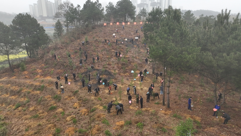 植樹現場 吳艷禹 攝.jpg