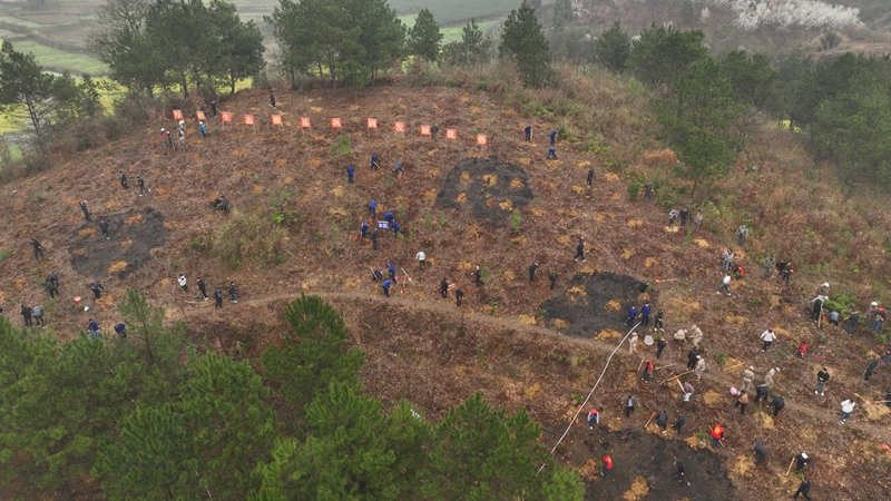 植樹現場 吳艷禹 攝 (2).jpg
