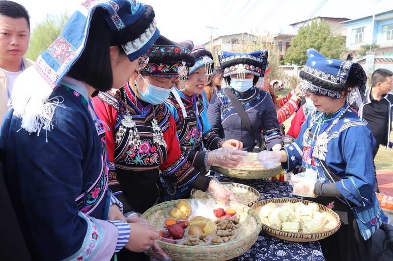 清鎮市2026年元宵節民族文化活動精彩上演【11】