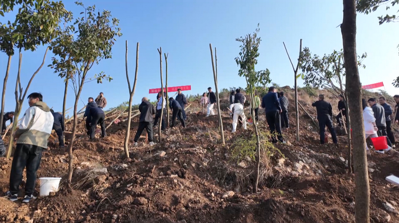 安順經開區開展義務植樹活動。