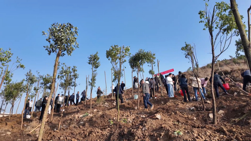 安順經開區開展義務植樹活動。