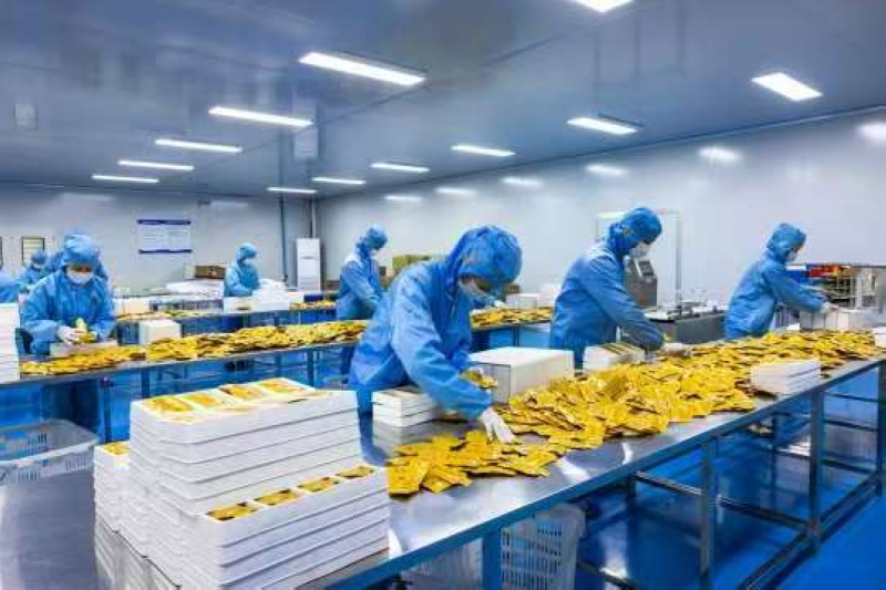 企業(yè)復(fù)工復(fù)產(chǎn)。