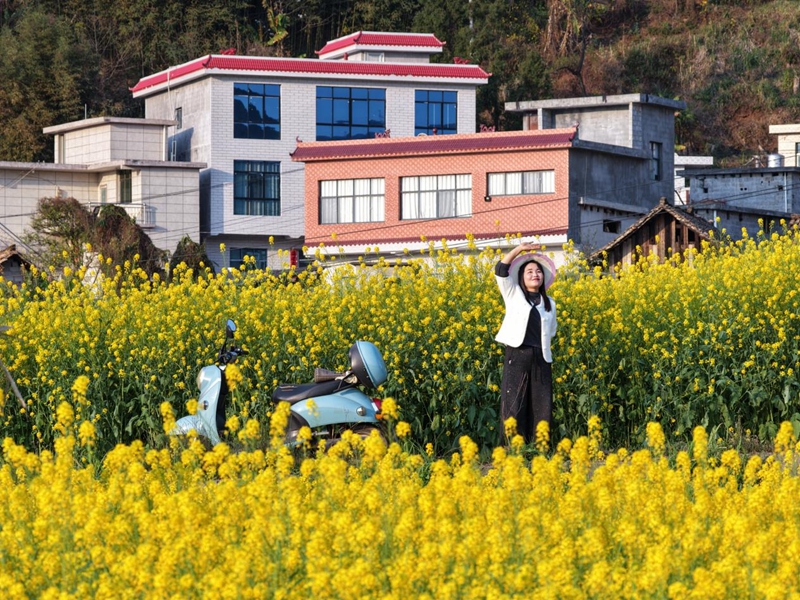 三月限定浪漫!水城這片梯田油菜花,美到不想走。