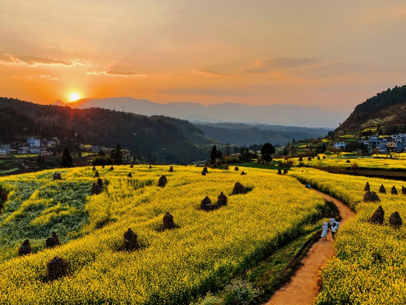 三月限定浪漫!水城這片梯田油菜花,美到不想走。