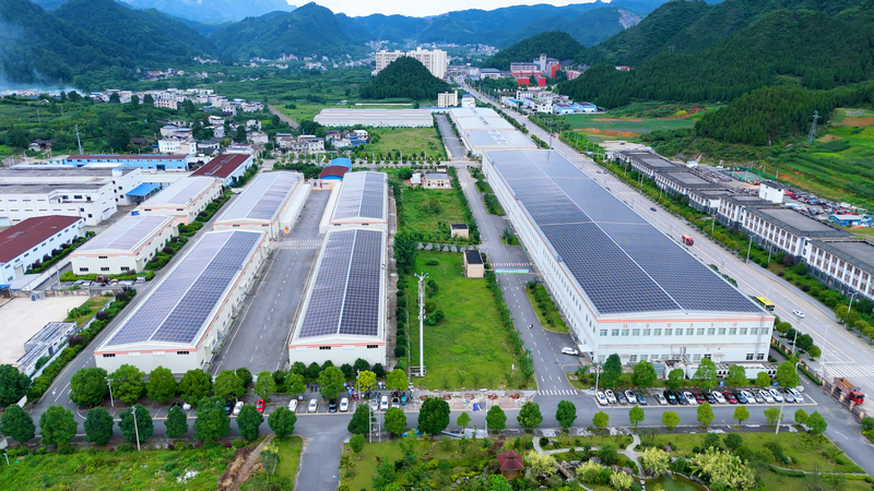 抹茶飄香迎客至 梵凈山下踏春行。