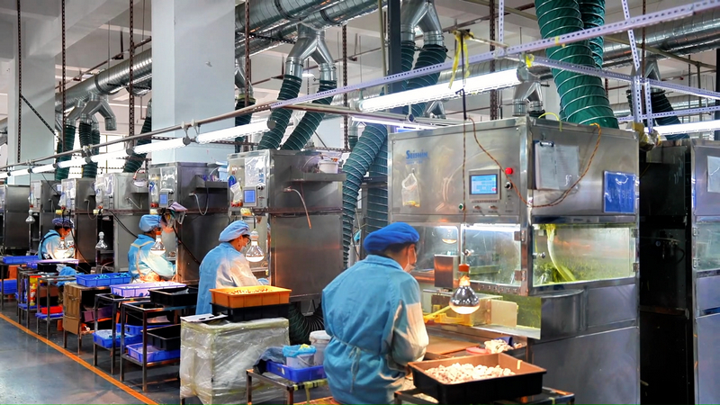 貴州睿兒嘉玩具有限公司生產車間里，工人們有序生產著。