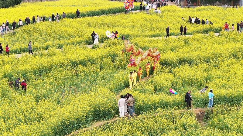 1 2026年春節期間，興義萬峰林景區油菜花盛放，憑借金色花海、熱鬧村舞和濃濃“煙火氣”迎來了新春旅游熱潮。（張松 攝）.jpg