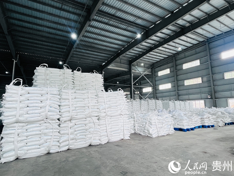 貴州聚力生化工有限公司車間。人民網記者 陳潔泉攝.jpg