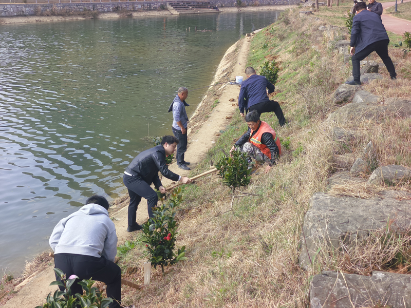 義務(wù)植樹活動現(xiàn)場。