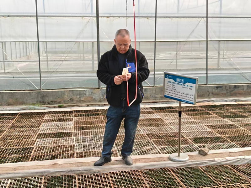 網格管理員龍明財查看棚內溫濕度.jpg