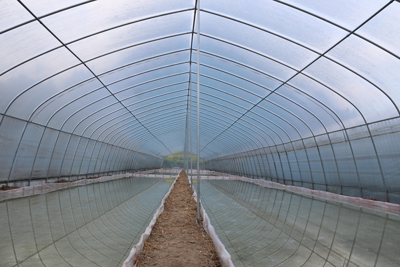 松桃甘龍鎮:人勤春早備耕忙。