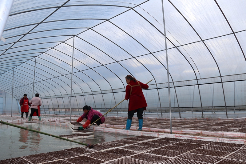 松桃甘龍鎮:人勤春早備耕忙。