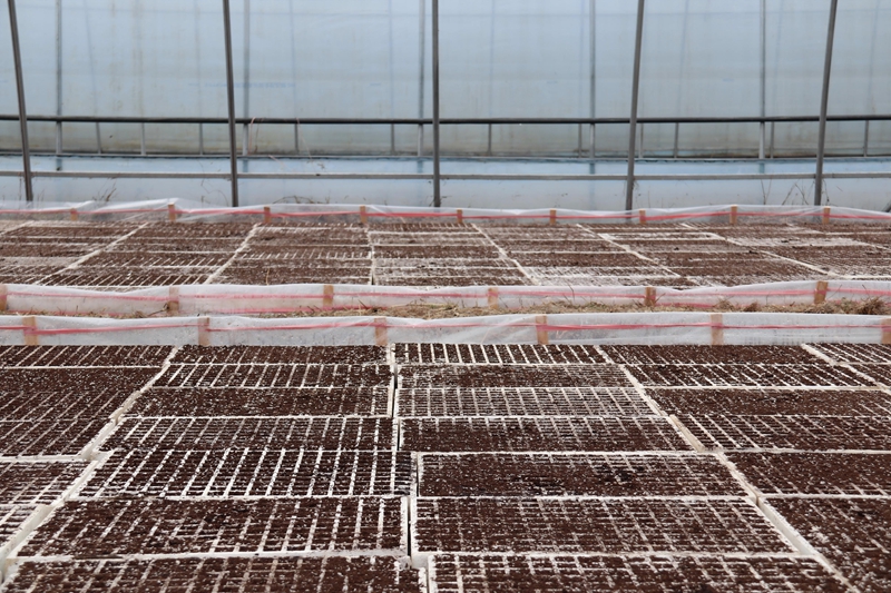 松桃甘龍鎮:人勤春早備耕忙。