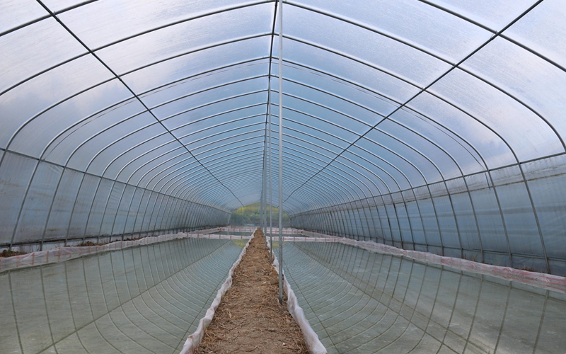 松桃甘龍鎮(zhèn)：人勤春早備耕忙