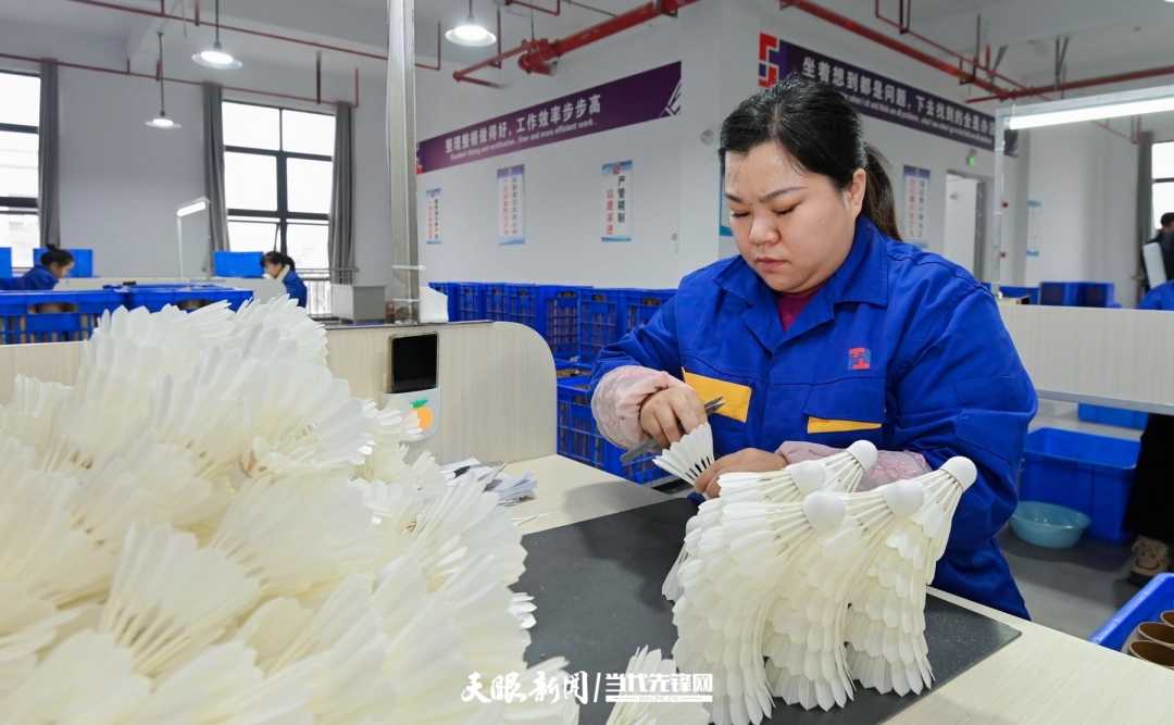 2025年11月11日,位于錦屏經開區的大桐利體育用品公司的生產車間內,工人正在檢測羽毛球。賈智 攝