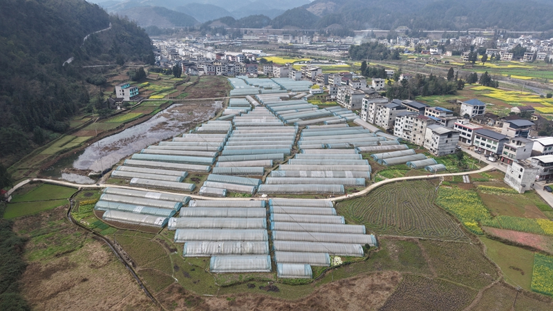 孟溪基地全景。