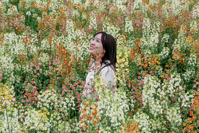 3月3日，游客在貴州省遵義市播州區茅栗鎮油菜花海里拍照。