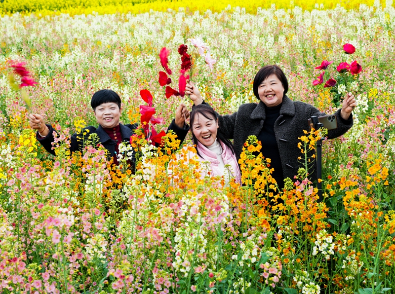 3月3日，游客在貴州省遵義市播州區茅栗鎮多彩花海里拍照游玩。