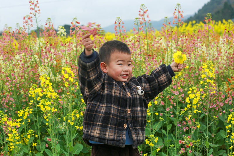 3月3日，小孩在貴州省遵義市播州區茅栗鎮油菜花海里游玩。