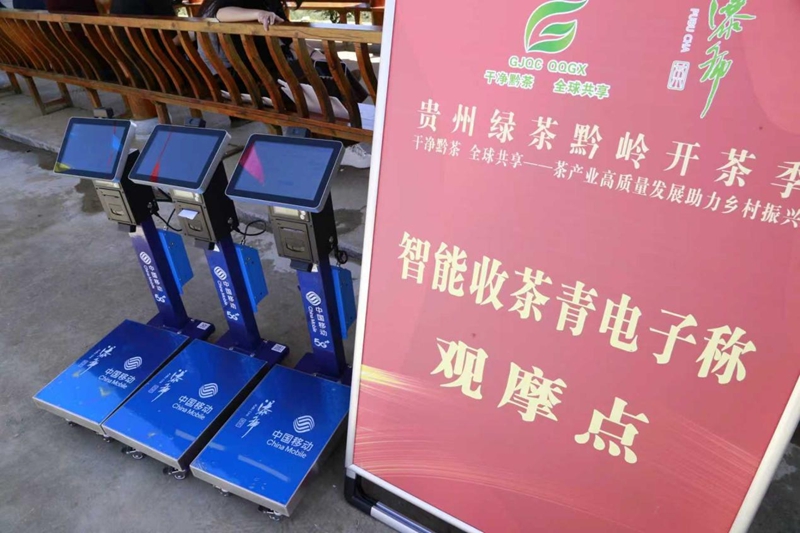 4 圖為5G智能收茶青秤。.jpg