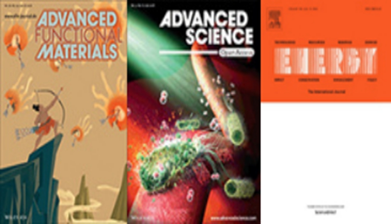 圖4.教師在Adv.Funct.Mater.等學(xué)科頂國(guó)際級(jí)期刊發(fā)表論文.jpg